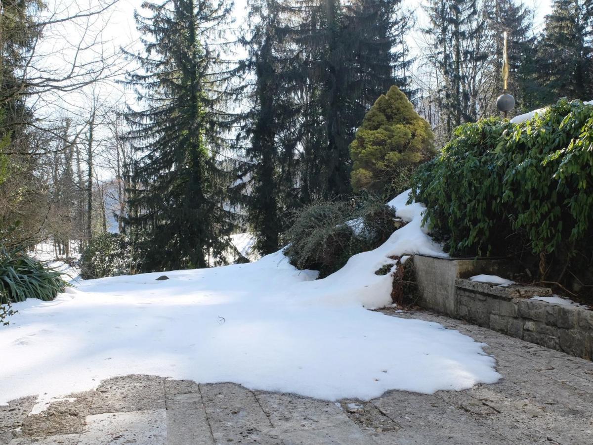 Villa Sawallisch Grassau (Bavaria) Exterior foto